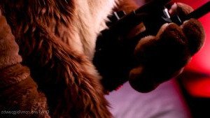 Big Pawbs [ bigpawbs ] Onlyfans leaked video 3124113 on Hotleaks.tv