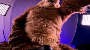 Big Pawbs [ bigpawbs ] Onlyfans leaked video 3124121 on Hotleaks.tv