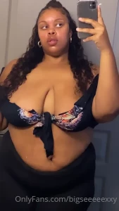 15841091