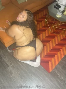 16337215