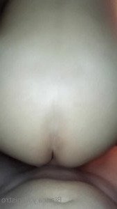 3138376
