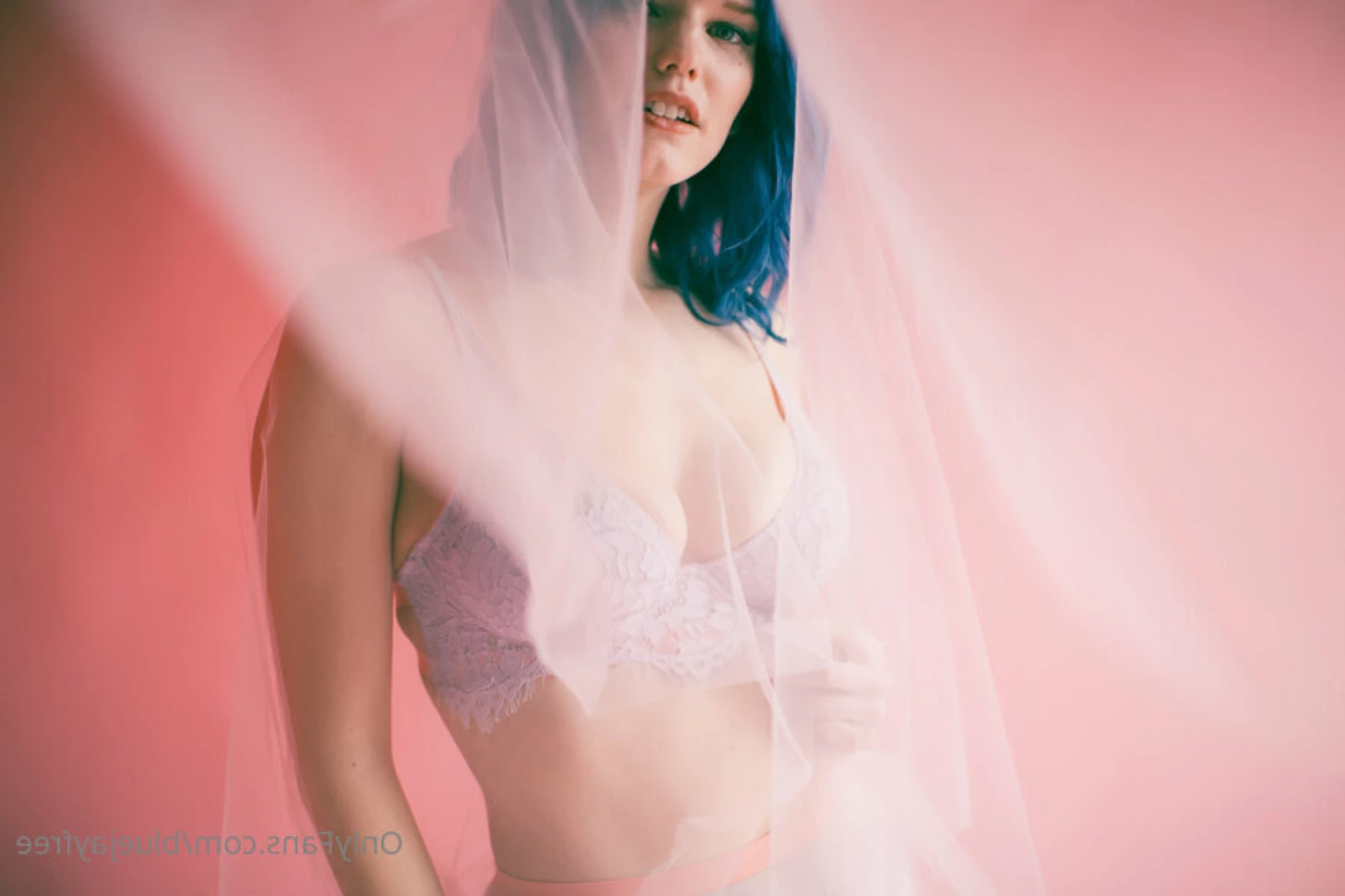Bluejay [ bluejayfree ] Onlyfans leaked photo 14472738 on Hotleaks.tv