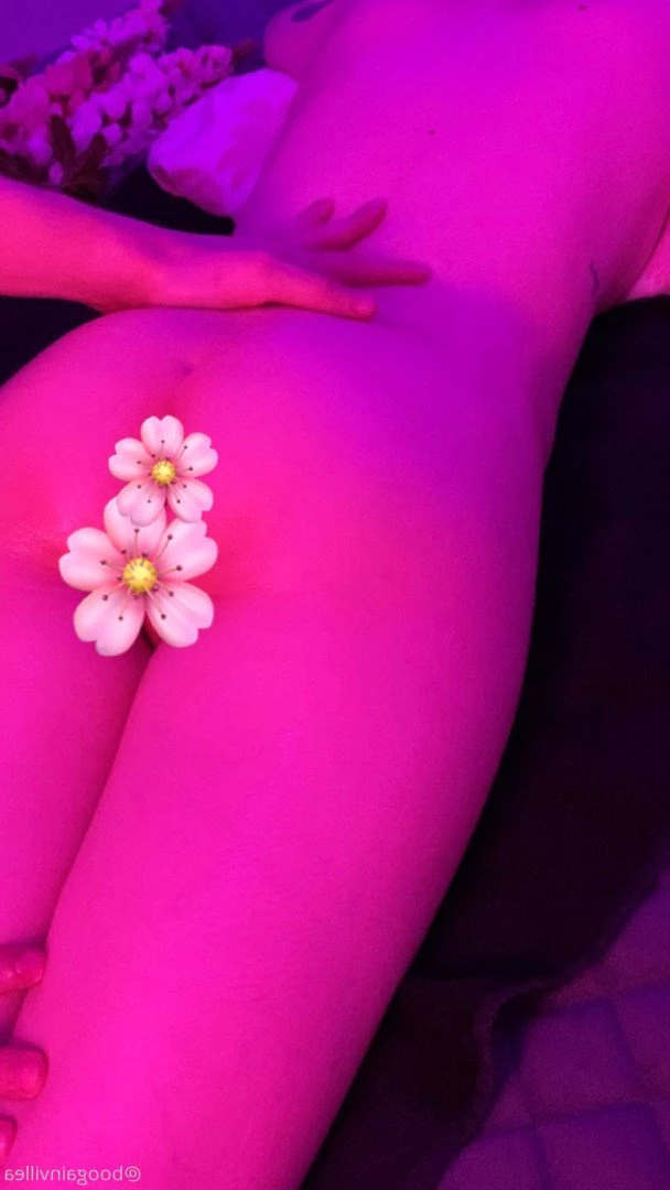 希鴉🌺KIER [ boogainvillea ] Onlyfans leaked photo 3706838 on Hotleaks.tv