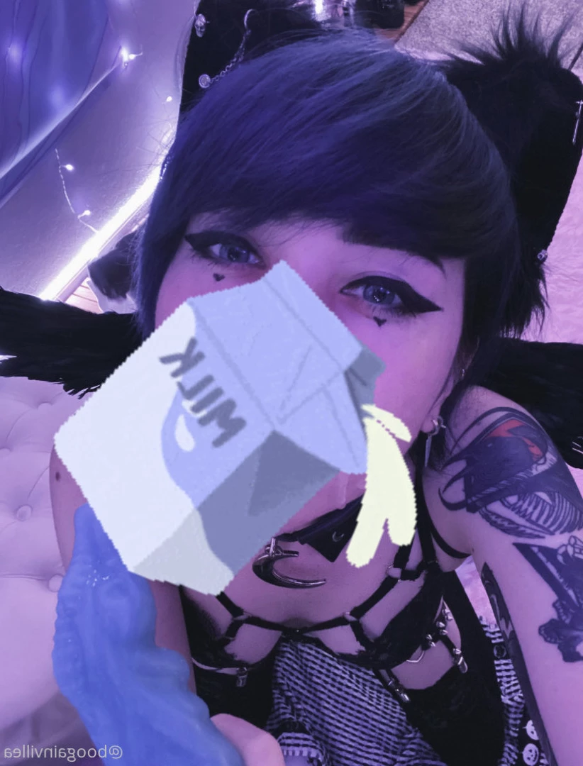 希鴉🌺KIER [ boogainvillea ] Onlyfans leaked photo 6365635 on Hotleaks.tv
