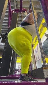 3167679