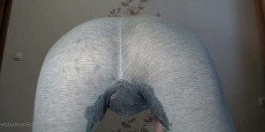 3176427