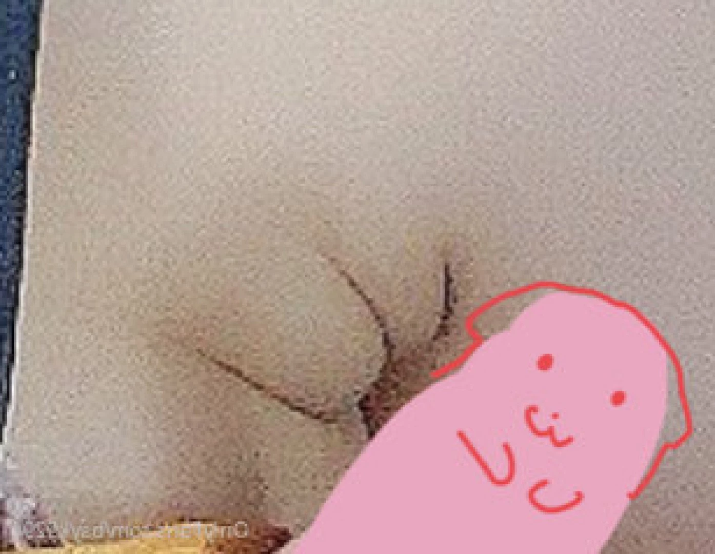 Yuzu ʕ·ᴥ·ʔ🍊 [ bsyk9294 ] Onlyfans leaked photo 3655385 on Hotleaks.tv