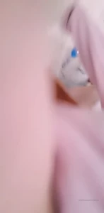 10641505