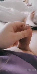 10641507