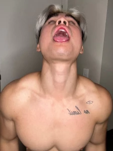 3632258