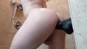 3195611
