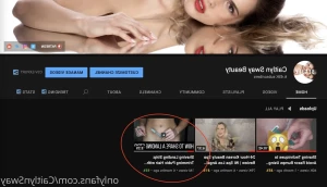 15738734