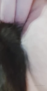 4867782