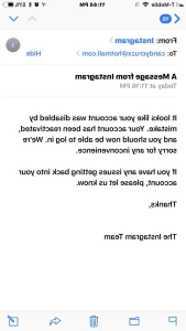 3619088