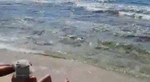 carinamoreschi Onlyfans leaked video 3208695 on Hotleaks.tv