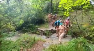 carinamoreschi Onlyfans leaked video 3208809 on Hotleaks.tv