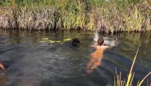 carinamoreschi Onlyfans leaked video 3208823 on Hotleaks.tv