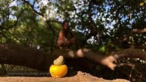 carinamoreschi Onlyfans leaked video 3208882 on Hotleaks.tv