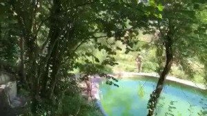 carinamoreschi Onlyfans leaked video 3208893 on Hotleaks.tv