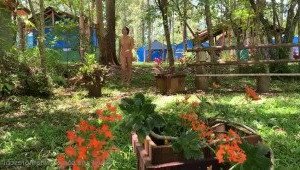 carinamoreschi Onlyfans leaked video 3209061 on Hotleaks.tv