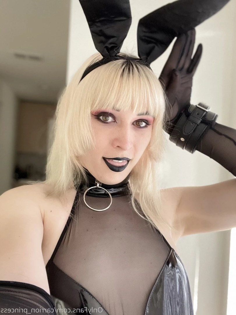 Princess Ivy [ carrion_princess ] Onlyfans leaked photo 3566703 on Hotleaks.tv
