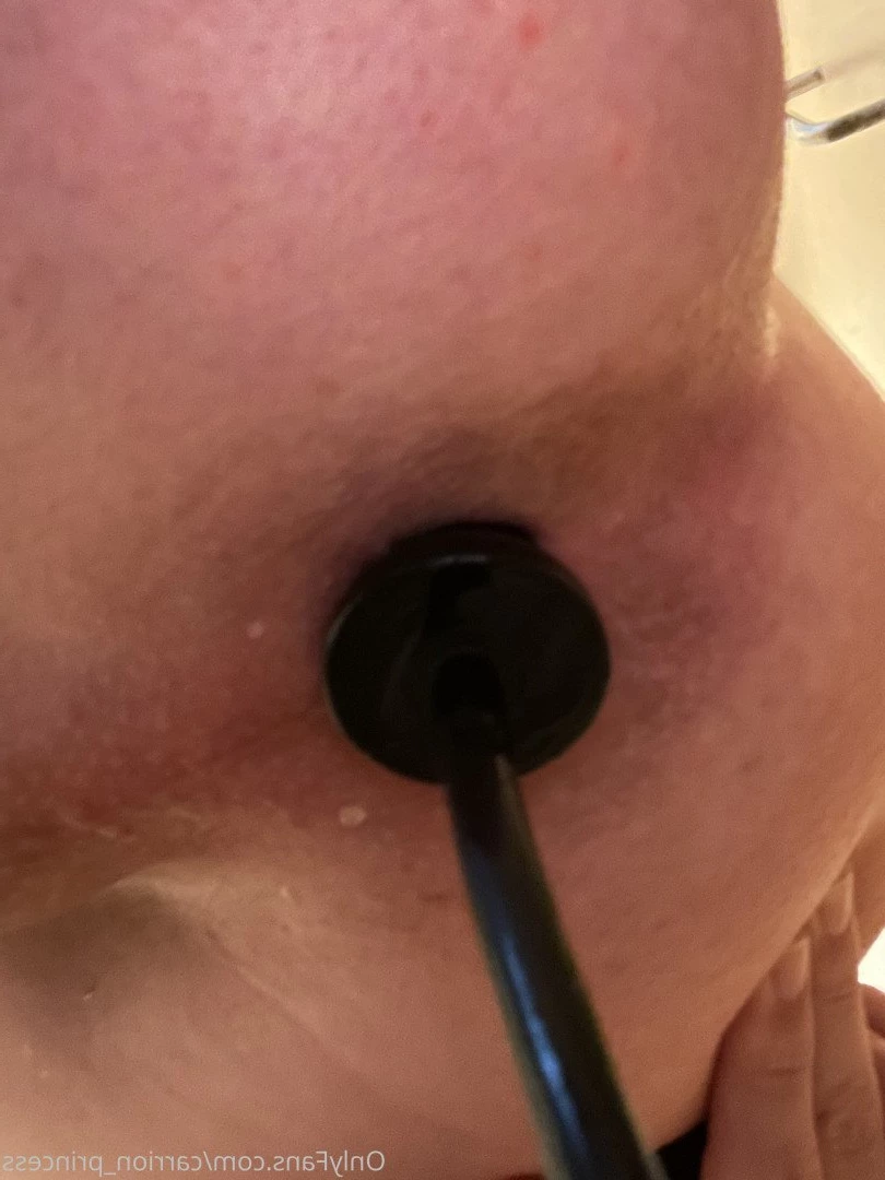 Princess Ivy [ carrion_princess ] Onlyfans leaked photo 3566951 on Hotleaks.tv