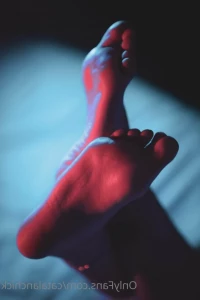 3446175