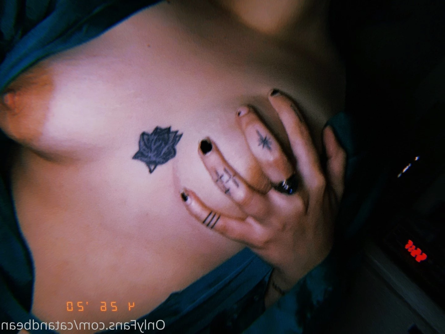 cat and bean! [ catandbean ] Onlyfans leaked photo 3725911 on Hotleaks.tv