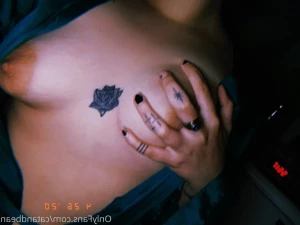 3725911