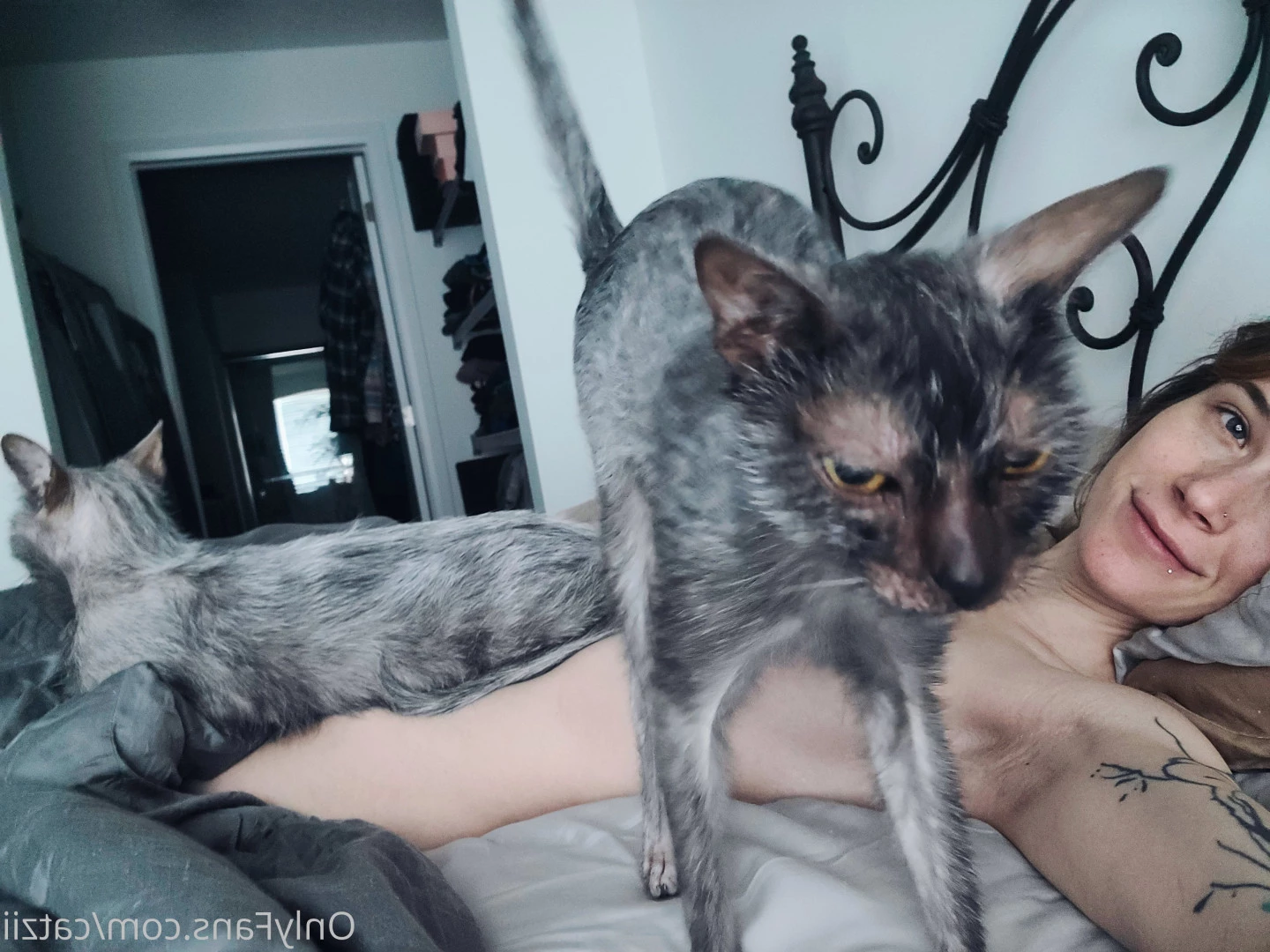 Cat [ catziilla ] Onlyfans leaked photo 6423148 on Hotleaks.tv