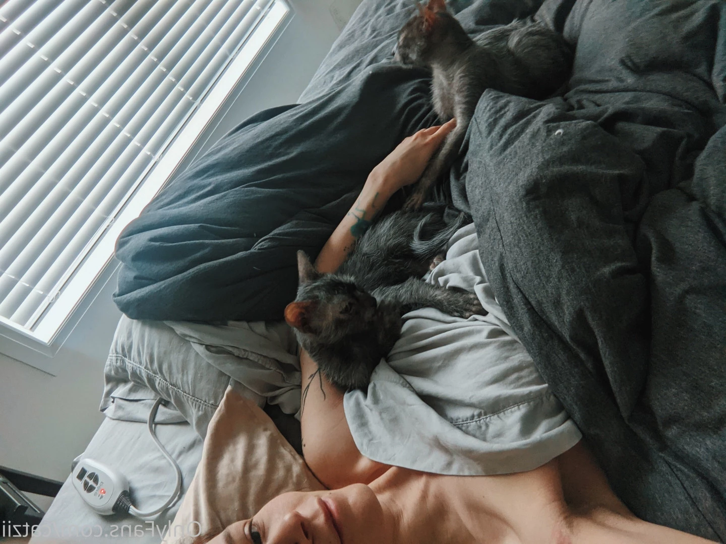 Cat [ catziilla ] Onlyfans leaked photo 6424883 on Hotleaks.tv