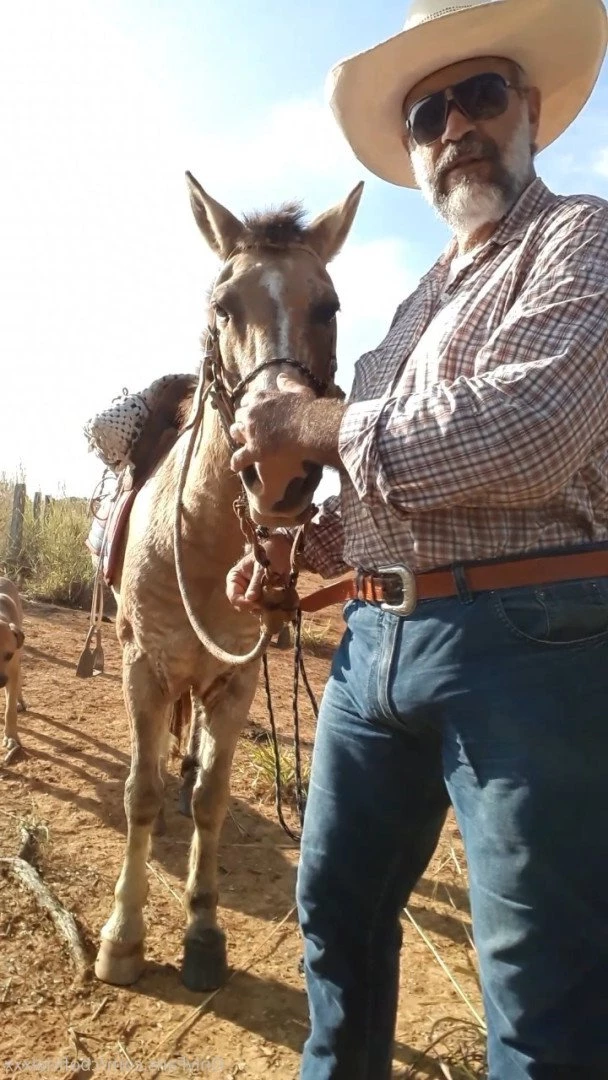 CowboyCavalao [ cboficialxxx ] Onlyfans leaked photo 4068170 on Hotleaks.tv