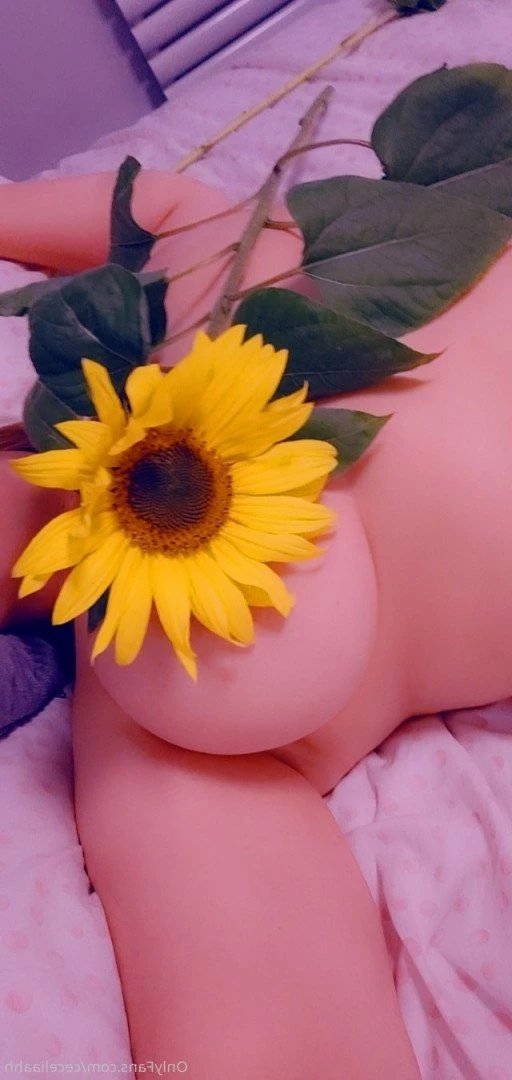 Cecelia [ ceceliaahh ] Onlyfans leaked photo 3560761 on Hotleaks.tv