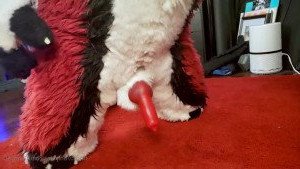 Cenny After Bark 💄 [ cennyad ] Onlyfans leaked video 3224758 on Hotleaks.tv