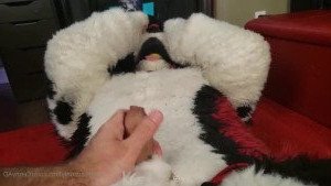 Cenny After Bark 💄 [ cennyad ] Onlyfans leaked video 3224782 on Hotleaks.tv