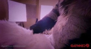 Cenny After Bark 💄 [ cennyad ] Onlyfans leaked video 3224862 on Hotleaks.tv