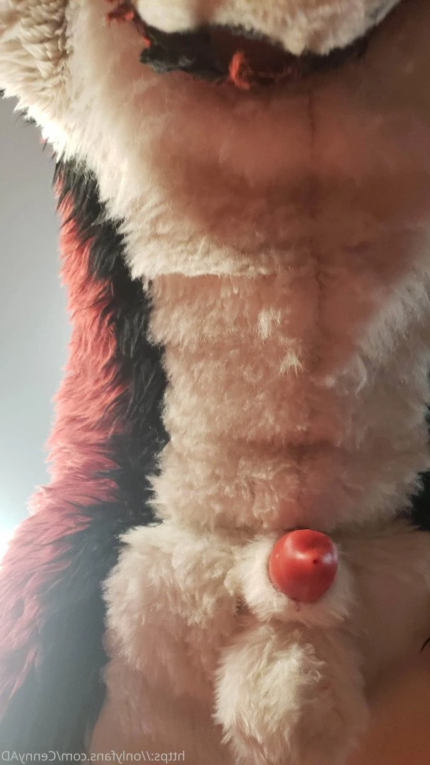 Cenny After Bark 💄 [ cennyad ] Onlyfans leaked photo 3616040 on Hotleaks.tv