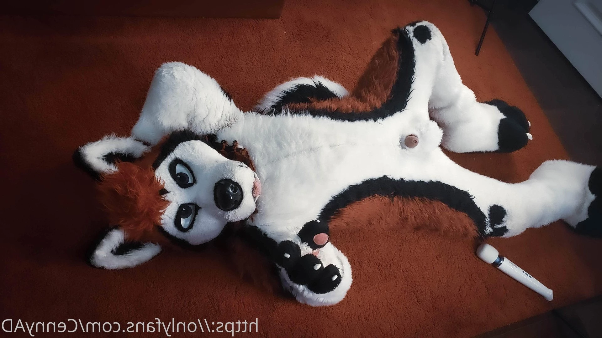 Cenny After Bark 💄 [ cennyad ] Onlyfans leaked photo 3616654 on Hotleaks.tv