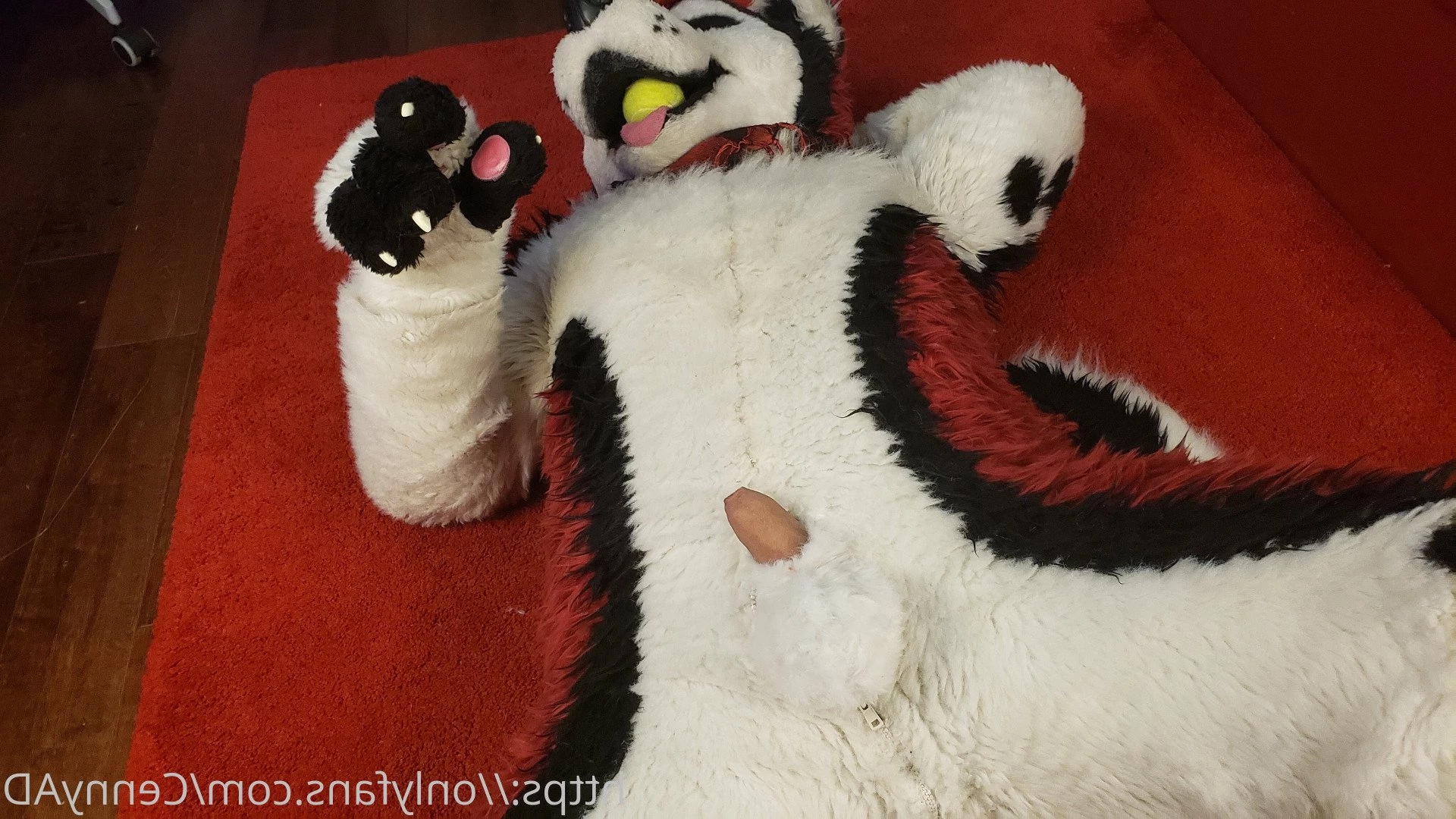 Cenny After Bark 💄 [ cennyad ] Onlyfans leaked photo 3616840 on Hotleaks.tv