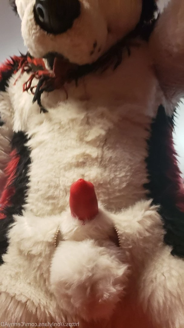 Cenny After Bark 💄 [ cennyad ] Onlyfans leaked photo 3617827 on Hotleaks.tv