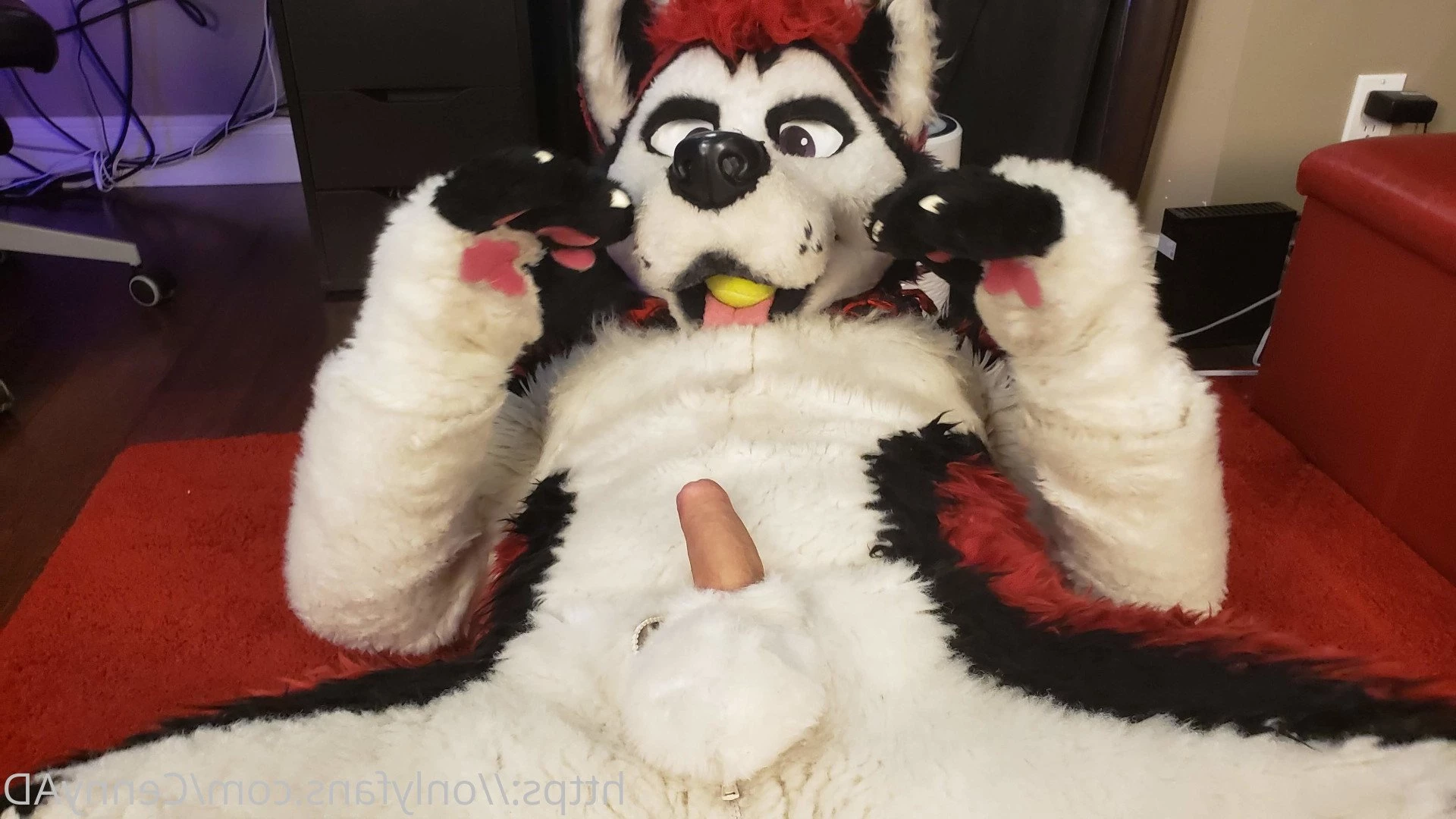 Cenny After Bark 💄 [ cennyad ] Onlyfans leaked photo 3618144 on Hotleaks.tv