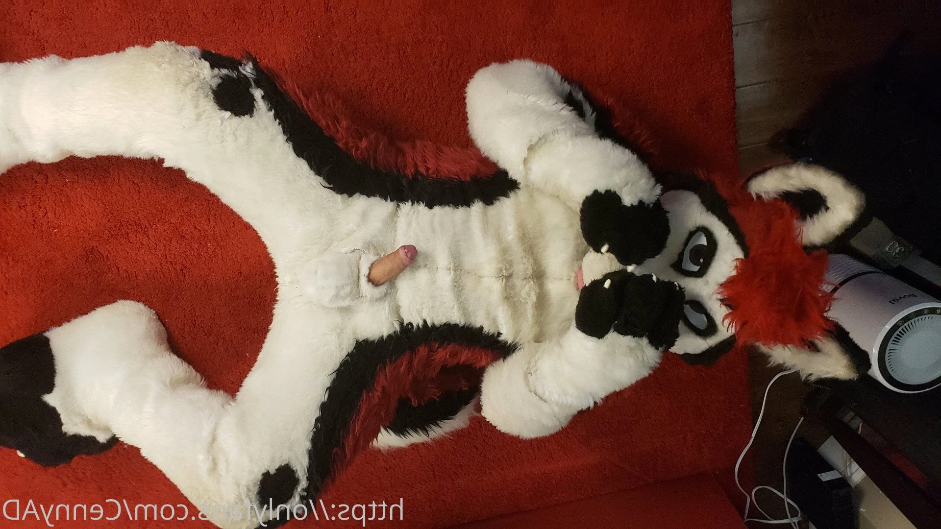 Cenny After Bark 💄 [ cennyad ] Onlyfans leaked photo 3618241 on Hotleaks.tv