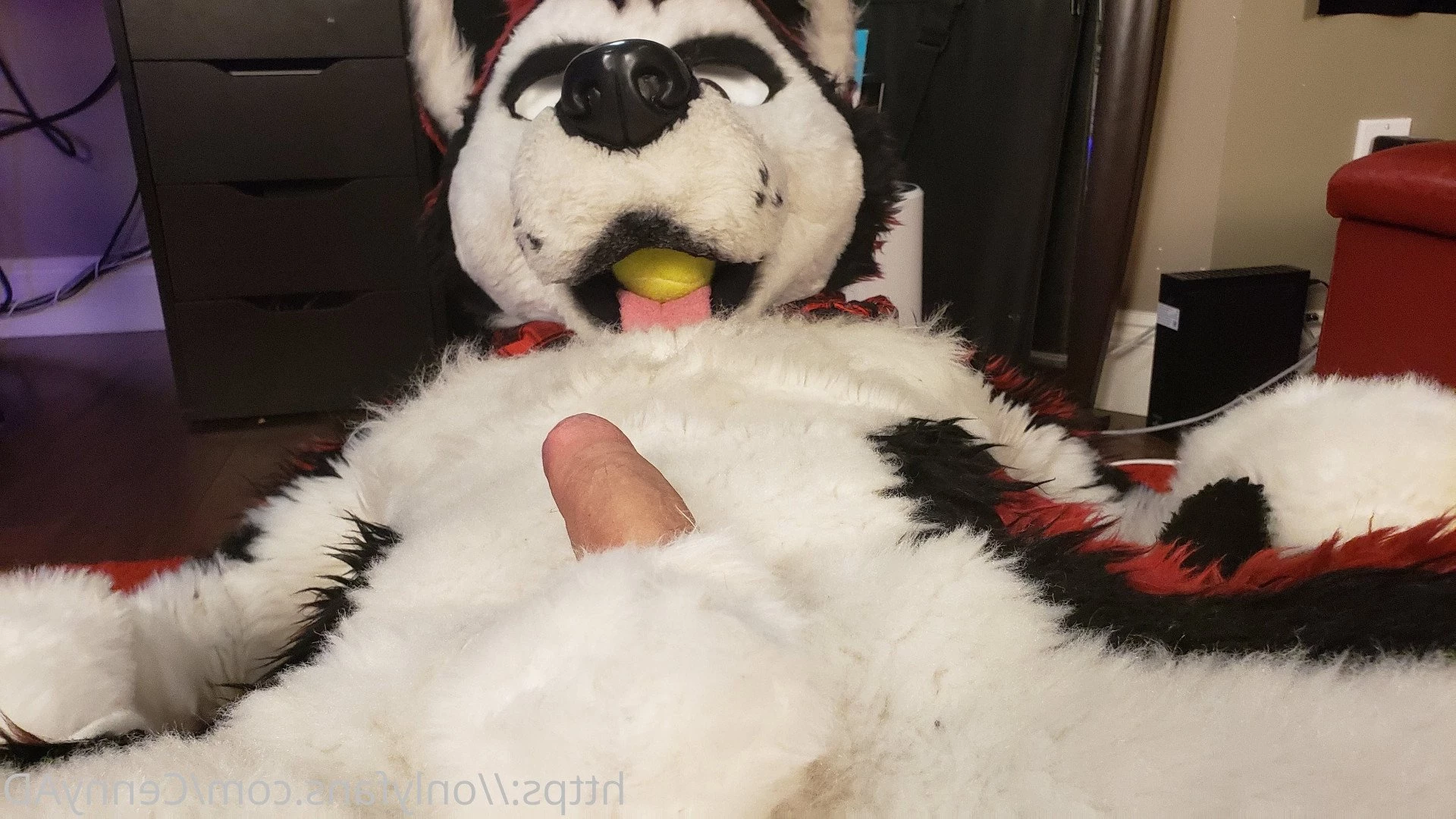 Cenny After Bark 💄 [ cennyad ] Onlyfans leaked photo 3618335 on Hotleaks.tv