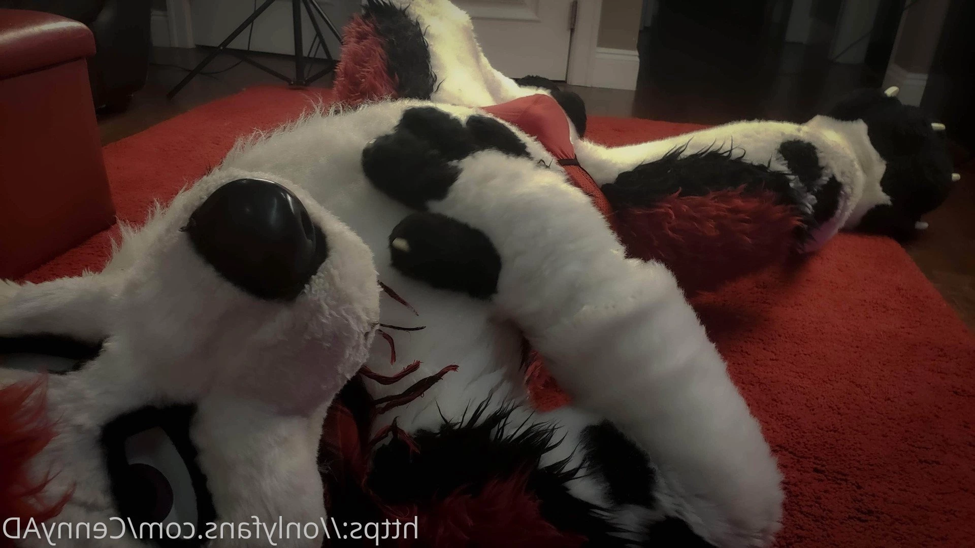 Cenny After Bark 💄 [ cennyad ] Onlyfans leaked photo 3618675 on Hotleaks.tv