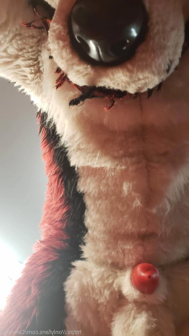 Cenny After Bark 💄 [ cennyad ] Onlyfans leaked photo 3618778 on Hotleaks.tv
