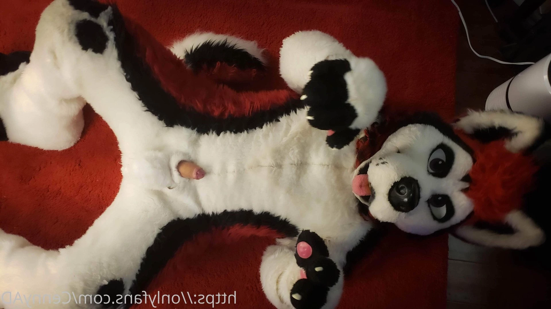Cenny After Bark 💄 [ cennyad ] Onlyfans leaked photo 3618981 on Hotleaks.tv