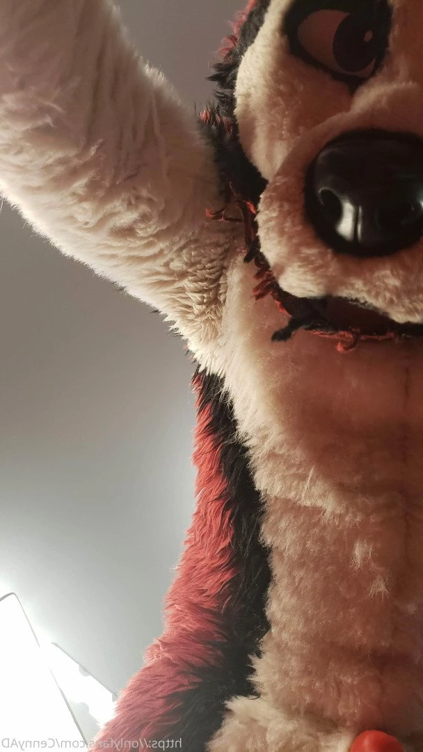 Cenny After Bark 💄 [ cennyad ] Onlyfans leaked photo 3619636 on Hotleaks.tv