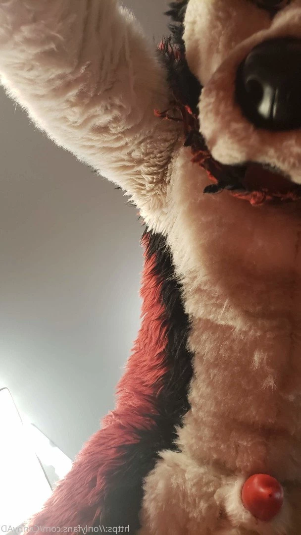 Cenny After Bark 💄 [ cennyad ] Onlyfans leaked photo 3620376 on Hotleaks.tv