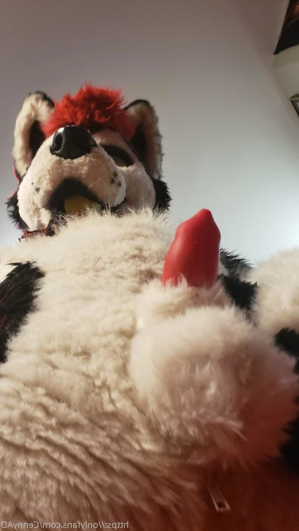 Cenny After Bark 💄 [ cennyad ] Onlyfans leaked photo 3620887 on Hotleaks.tv