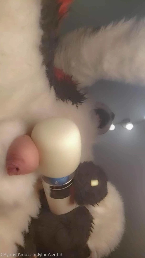 Cenny After Bark 💄 [ cennyad ] Onlyfans leaked photo 3621265 on Hotleaks.tv